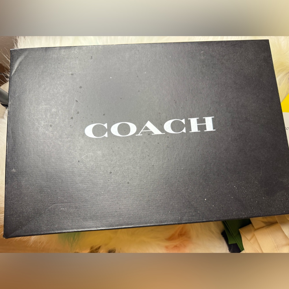 Coach Rainbow Sneaker